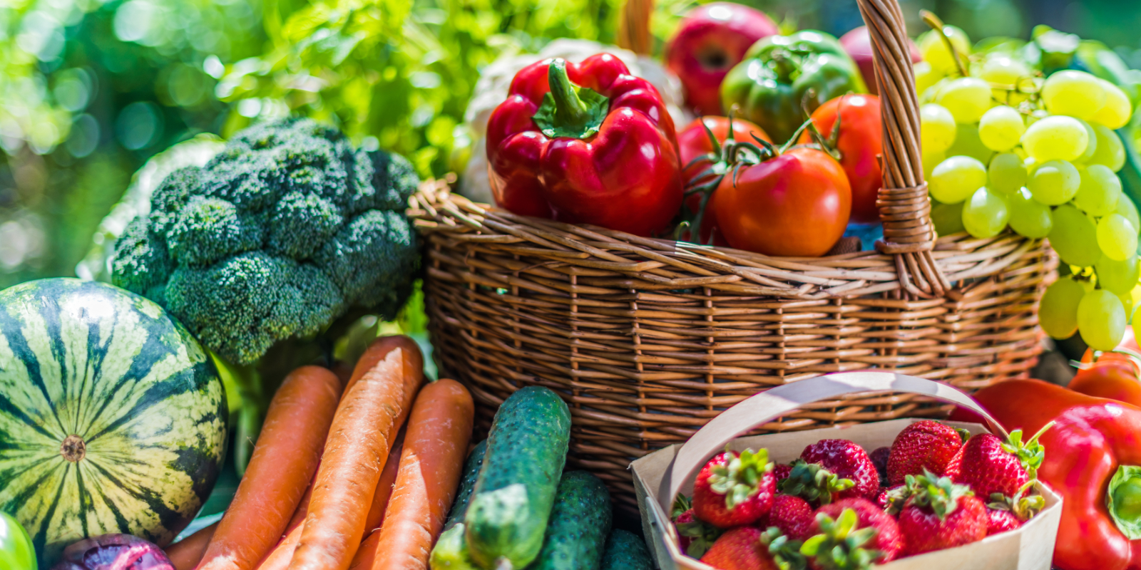 Frisches Obst und Gemüse in Bioqualität