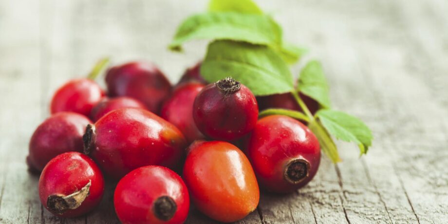 Rote Hagebutte-Beeren auf einem Holztisch