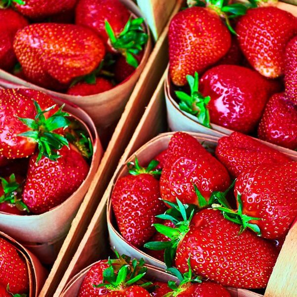 Gesunde Beeren: Antioxidantien frisch vom Wochenmarkt!