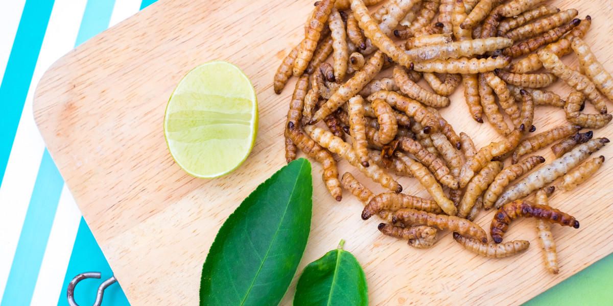 Da ist der Wurm drin: Insekten als neuer Food-Trend