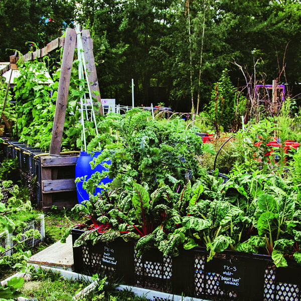 Urban Gardening: So wirst du in der Stadt zum Selbstversorger