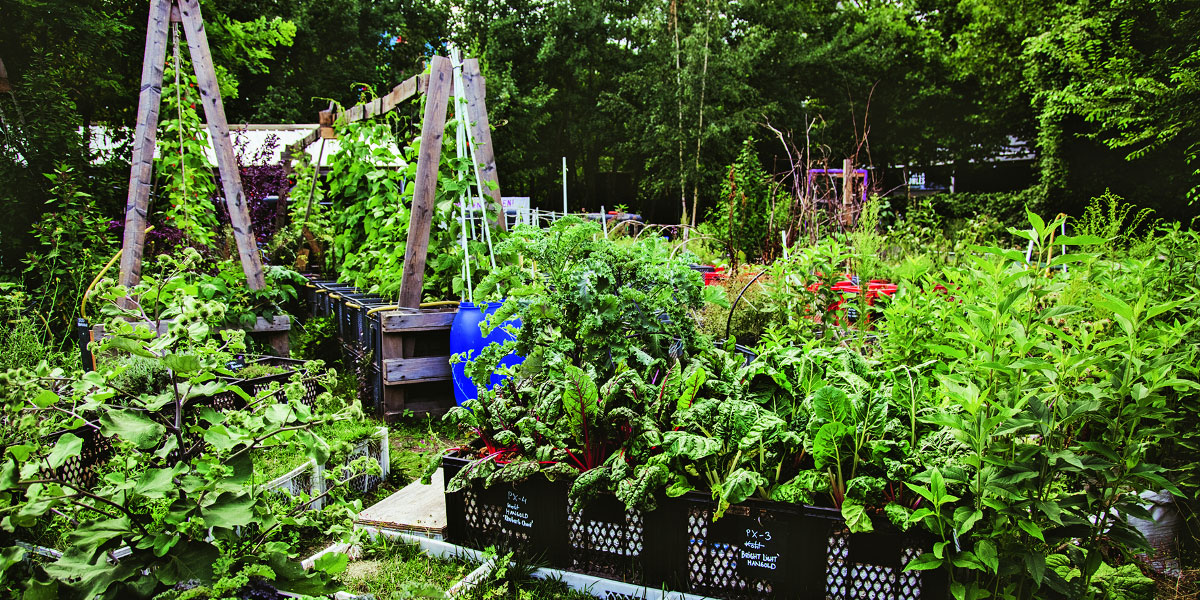 Urban Gardening: So wirst du in der Stadt zum Selbstversorger