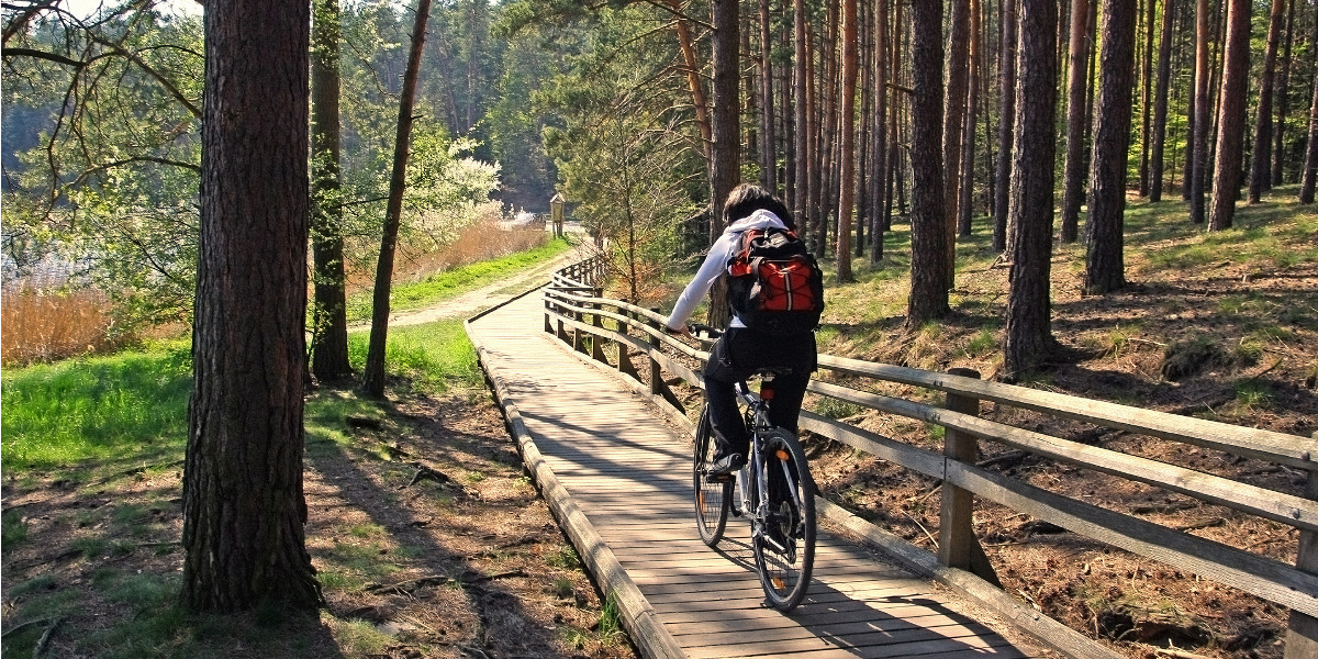 Von wegen „plattes Land“: Radtouren durchs bergige Ost-Holstein