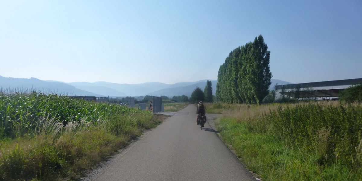 5 Radtouren im Nordschwarzwald und in der Rheinebene