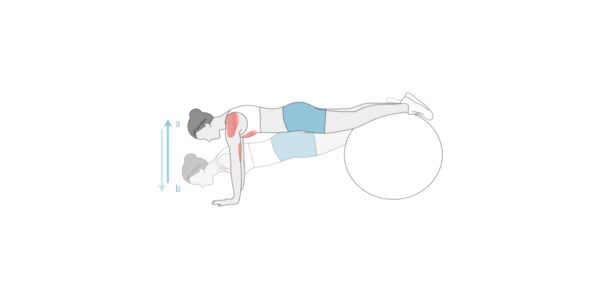 Infografik: Liegestütze mit Beinen auf Gymnastikball