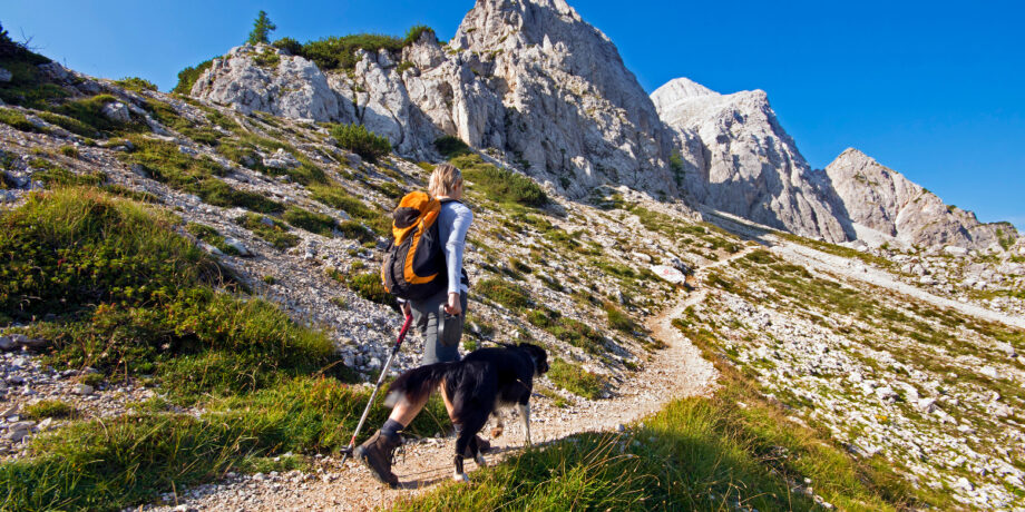Frau wandert mit ihrem Hund einen Berg hoch