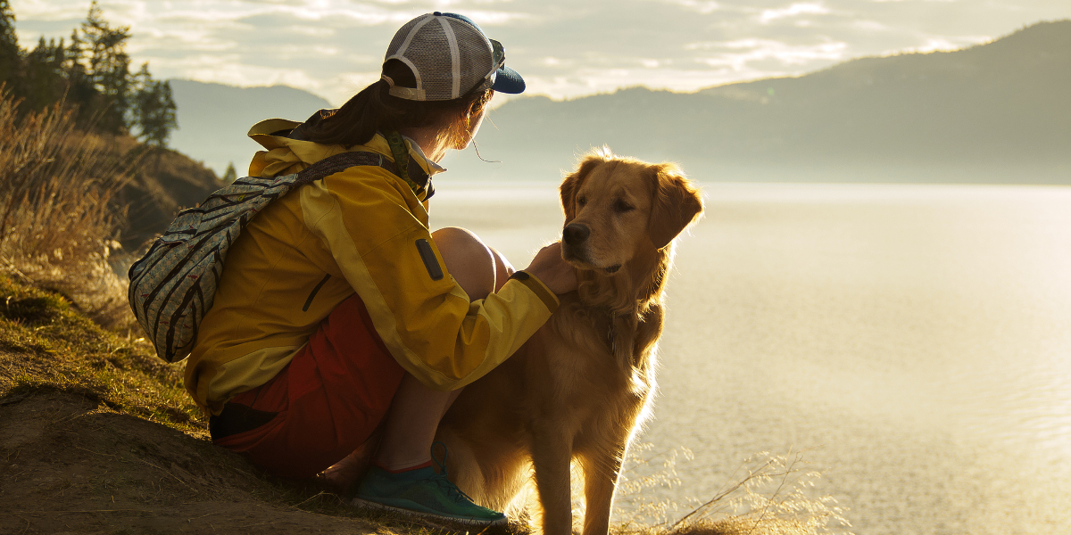 Wandern Mit Hund So Stürmt Ihr Gemeinsam Die Gipfel Beatyesterday