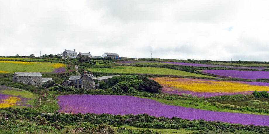 Blumenwiesen und Cottages in Cornwall