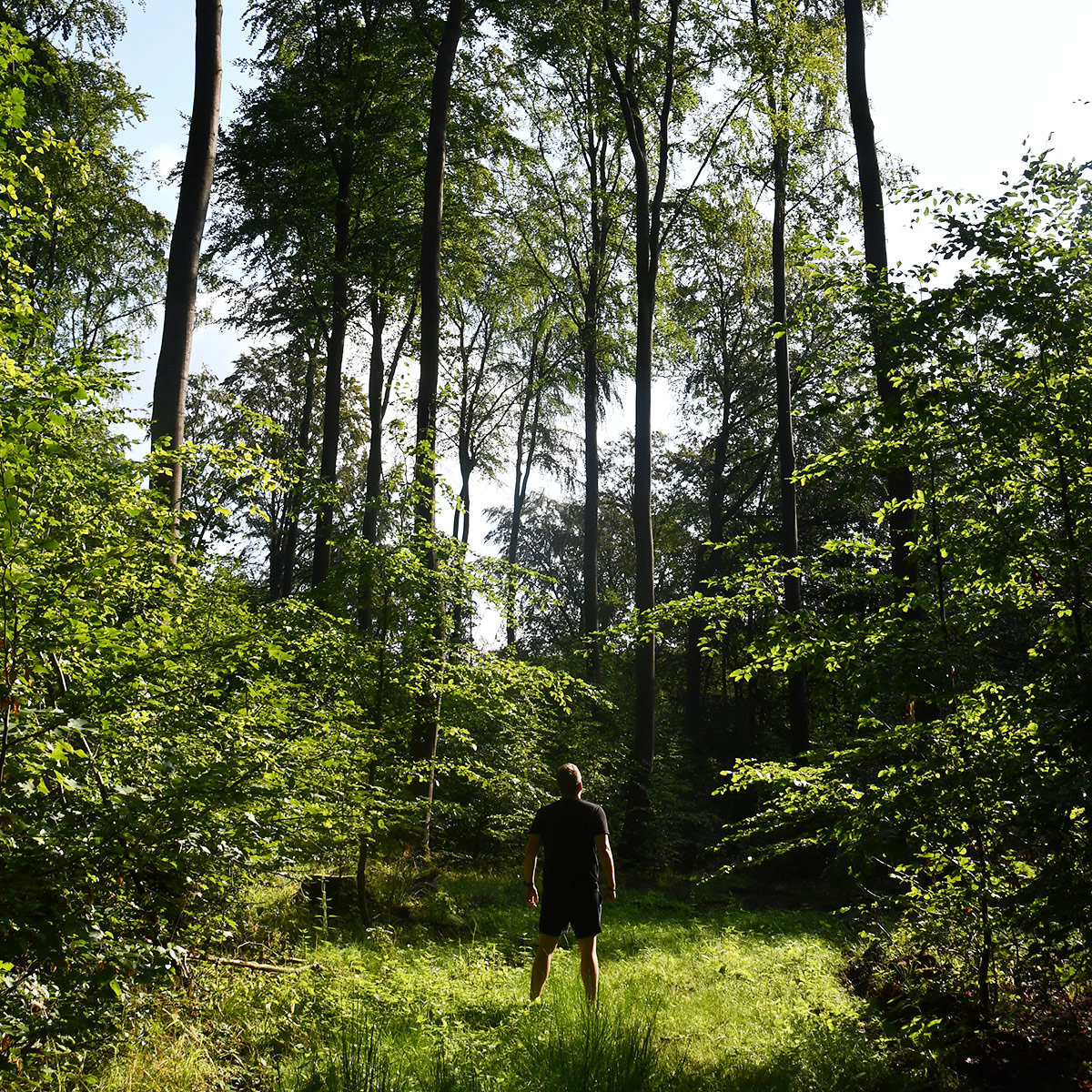 Mikroabenteuer Waldbaden | #BeatYesterday