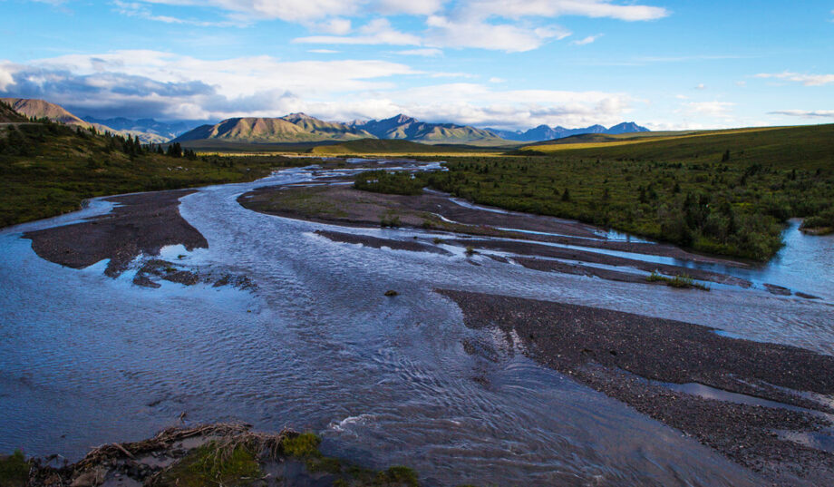 Ein Fluss zieht sich durch die Landschaft Alaskas.