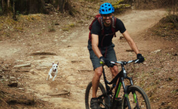 Mit Hund und Rad über Stock und Stein