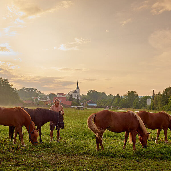 Teichmann wandert #4: Der Pferdeflüsterer