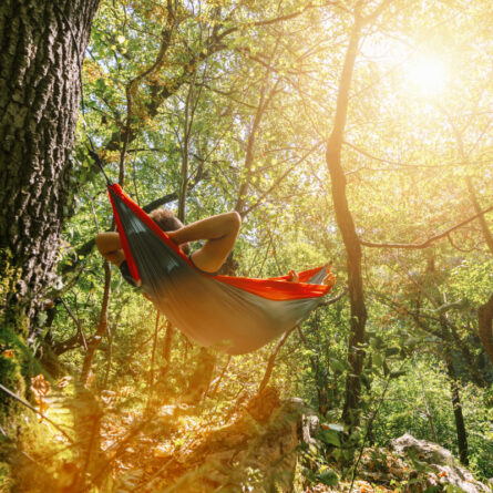 Mann liegt im Wald in einer Hängematte und relaxt