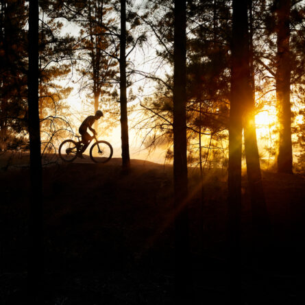 Mann beim Radfahren im Wald