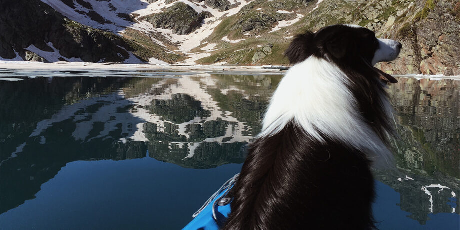 Guillaumes Hund Django sitzt vor einem See