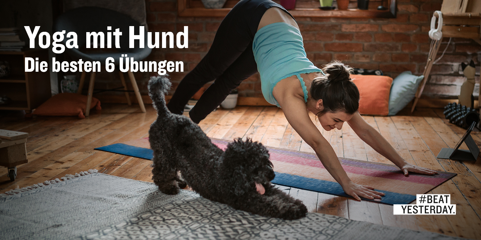 doga-yoga-mit-dem-hund-beat-yesterday