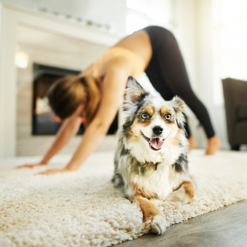 Frau macht Dog Yoga mit ihrem Hund