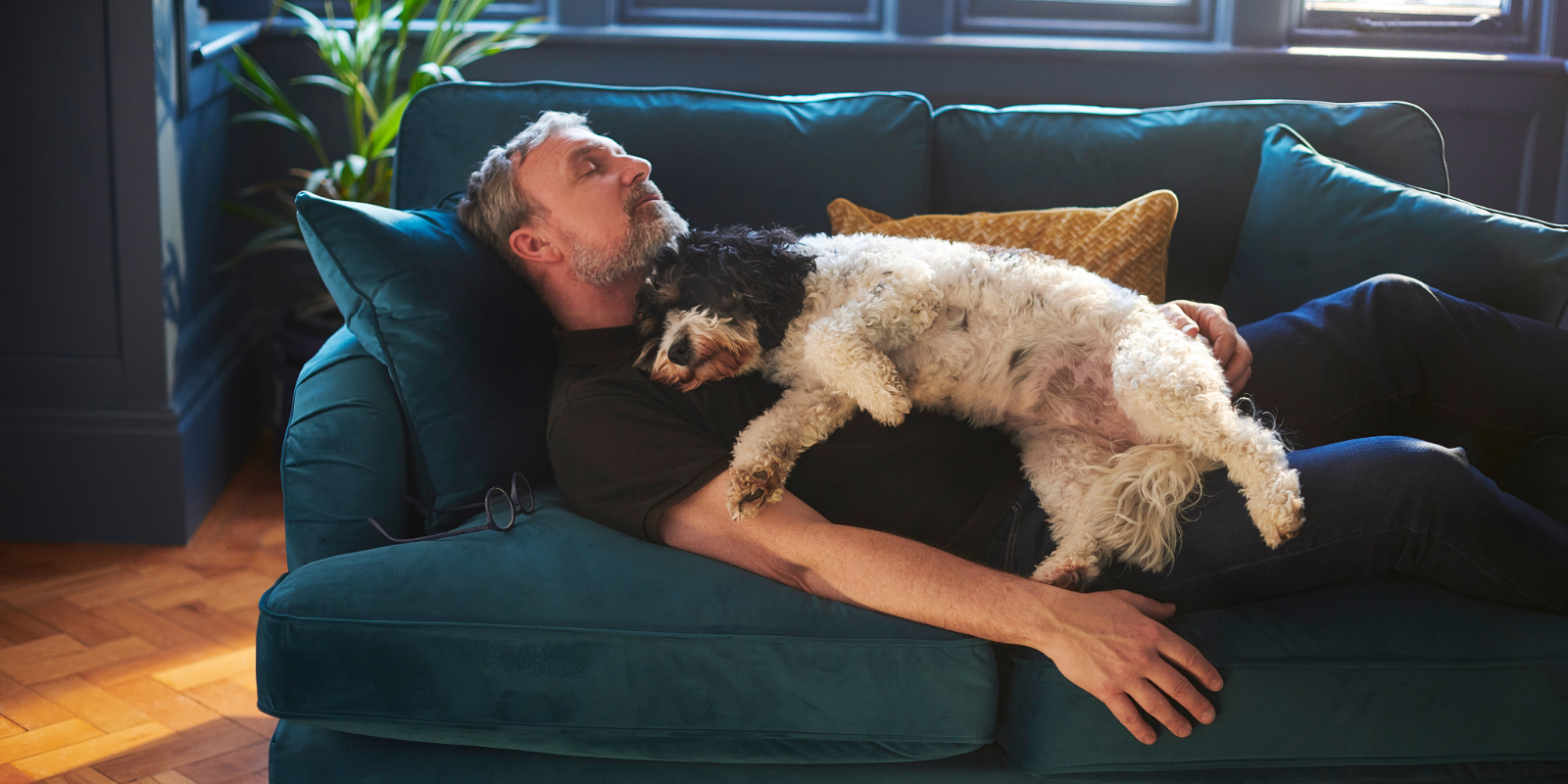 Älterer Mann liegt mit dem Hund auf der Couch und schläft