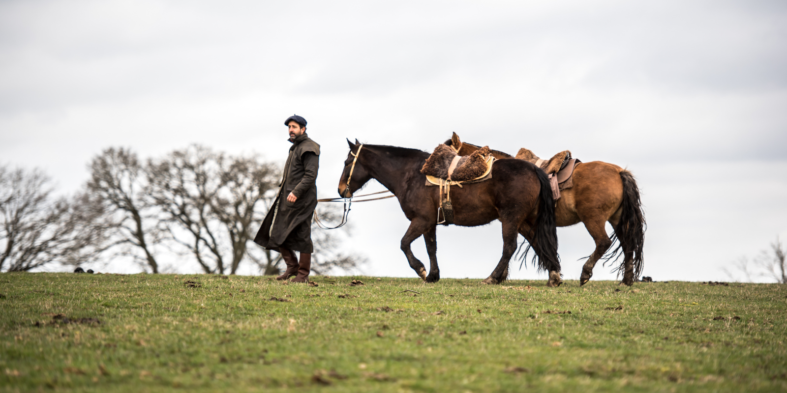 Amancio geht mit seinen Pferden spazieren