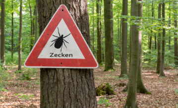 Schild mit Warnung vor Zecken im Wald