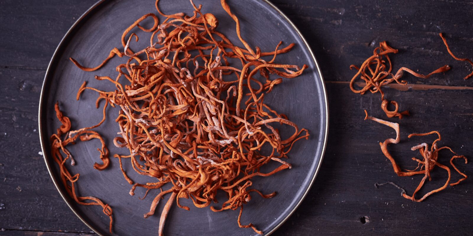 Cordyceps für mehr Ausdauer: Was kann der Zombie-Pilz wirklich?