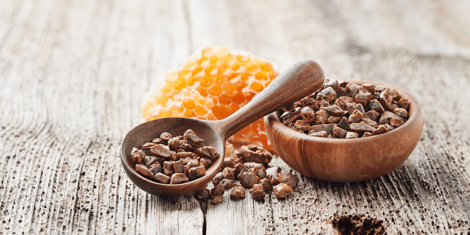 Propolis: Starkes Immunsystem durch Bienenkitt?