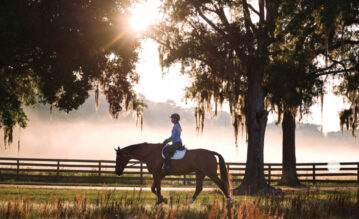 Frau reitet bei Sonnenaufgang auf einem Pferd