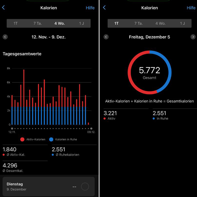 Garmin Connect Ansicht Kalorien